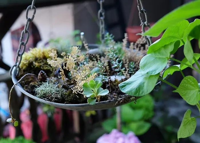 Hostel Hikers Veliko Tarnovo